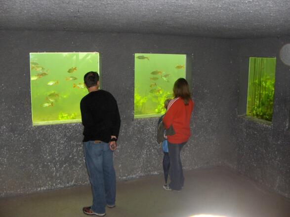 Höhepunkt des Wildgartens ist die Unterwasser-Beobachtungsstation.