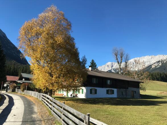 Bauernhof in Leutasch/Moos