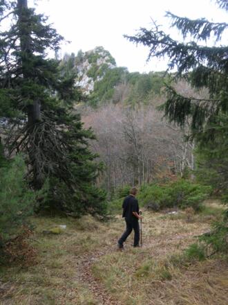 Gruberhörndl vom NO-Rücken