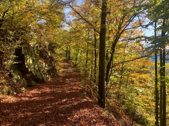 Wanderweg zur Ruine Haichenbach