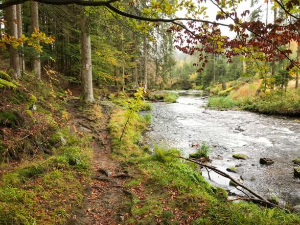 Entlang des Großen Regen nach Zwiesel