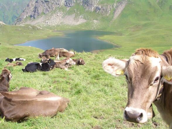 Tilisuner Hütte Wanderung