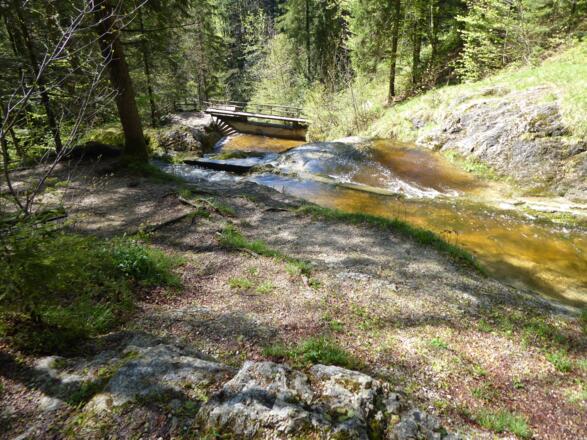 Schlucht des Rettenbachs im Wald