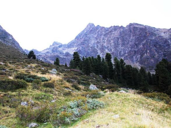 X-Alp Lodges Sommer2015 1024x768 (13)
