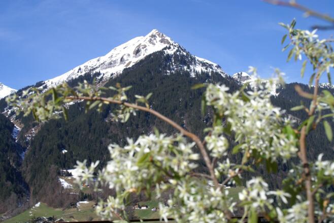 Ausblick vom Balkon Sommer