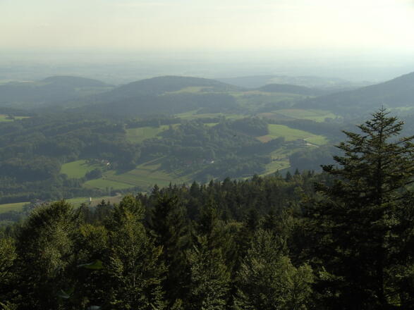 Die Felskanzel des Geßingersteins bietet einen hervorragenden Ausblick.
