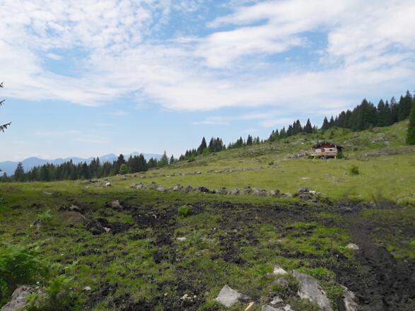 Weißensteinalm