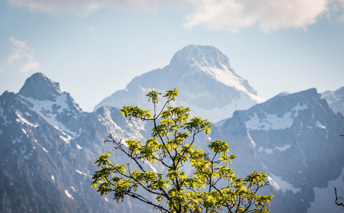 Blick zum Hundstod