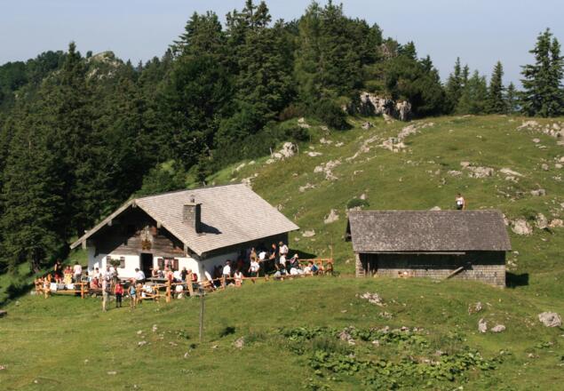Kohleralm 1450 m.