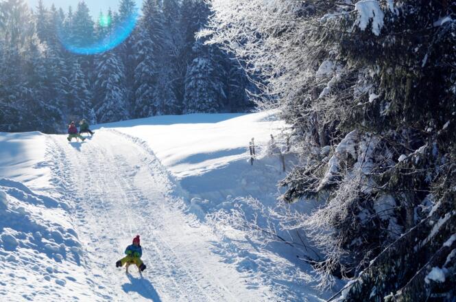 Rodelbahn Krähenberg Sibratsgfäll