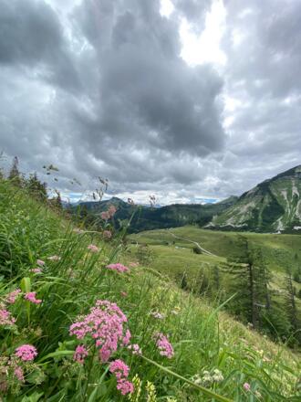 Die Genneralm