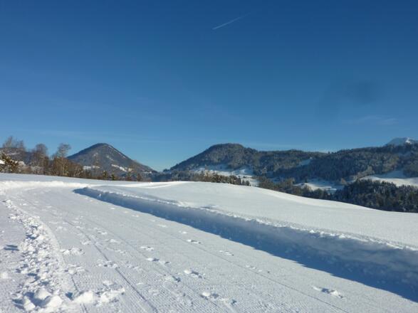 Skating Loipe und Winterwanderweg