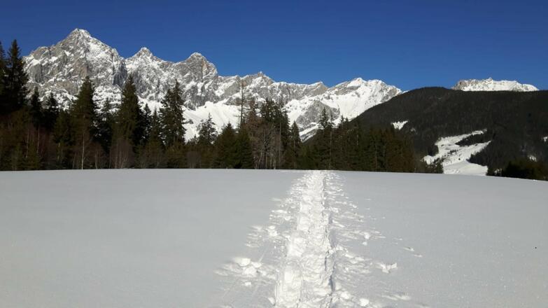 Kraml Runde mit Blick auf Dachstein