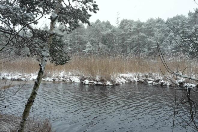 Entenweiher im Winter mit Schnee