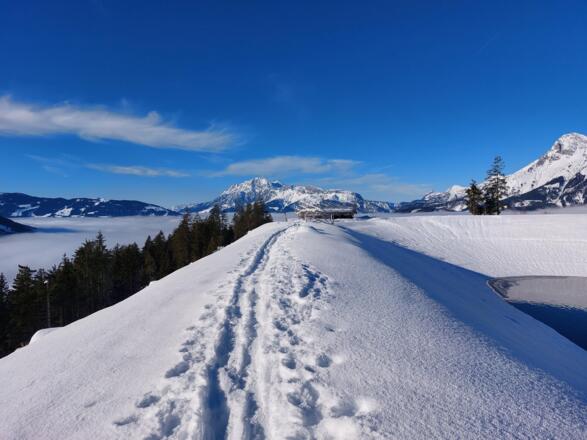 Aussicht auf die Leoganger Steinberge