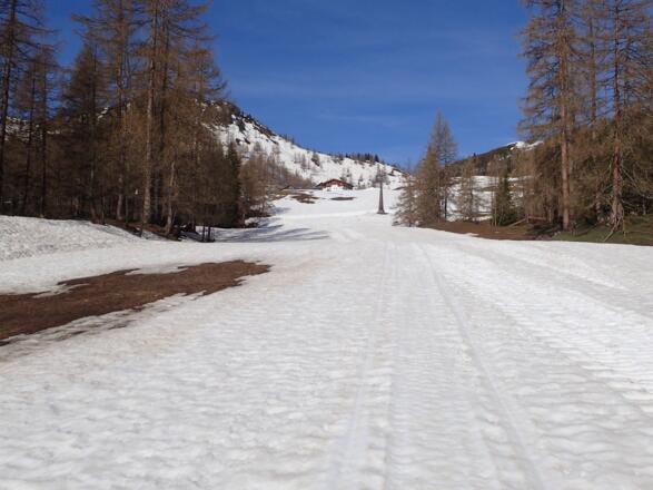 Piste zur Höchalm