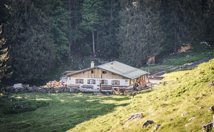 Der Doppelkaser auf der Strubalm / Wasserfallalm