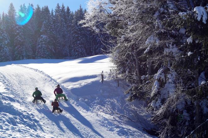 Rodeln am Krähenberg in Sibratsgfäll