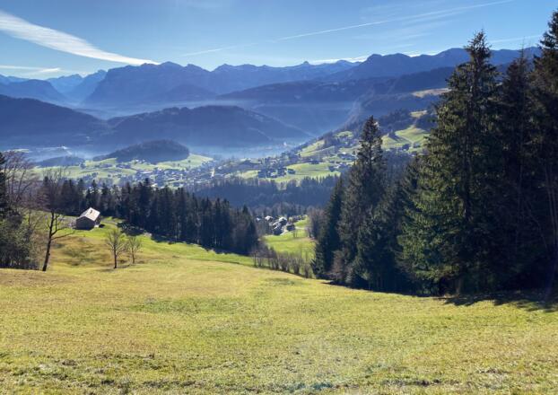 Blick auf Schwarzenberg