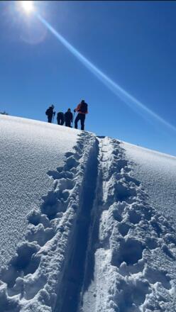 71C25246-2F60-4FEA-84C9-64E83497099C