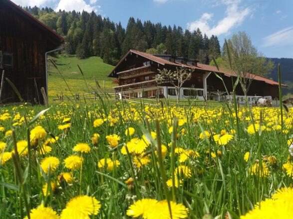 Bergbauernhof Gerung