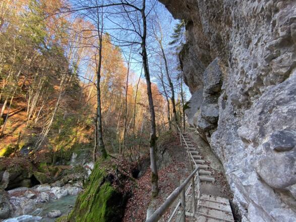 In der Engenlochschlucht
