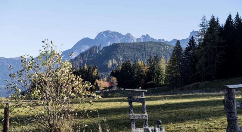Naturschutzwiese am Alpenchalet