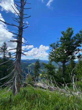 Blick nach Hintersee