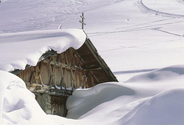 Schnee