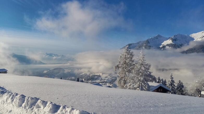 Ausblick am Ludescherberg