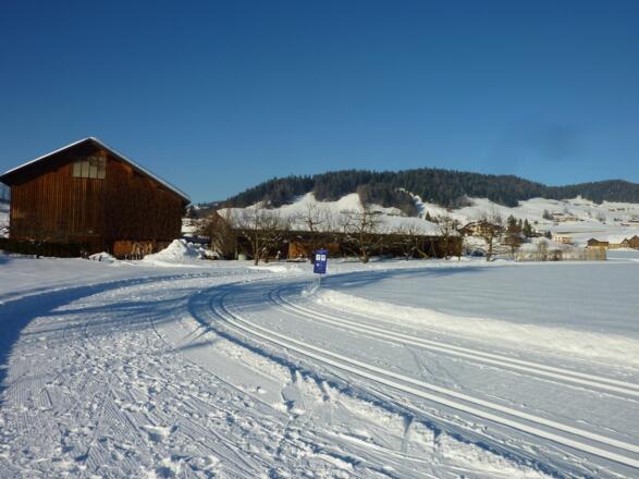 Langlaufloipe in Lingenau