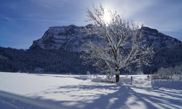 Winterlandschaft in Bizau