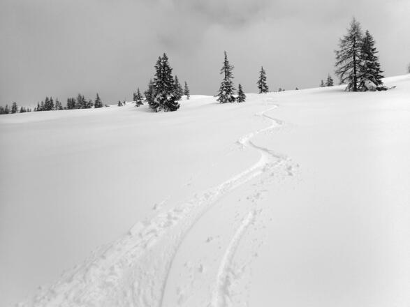 Abfahrt vom Hakopf im frischen Maischnee