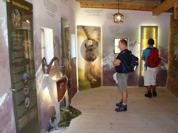 Ausstellung