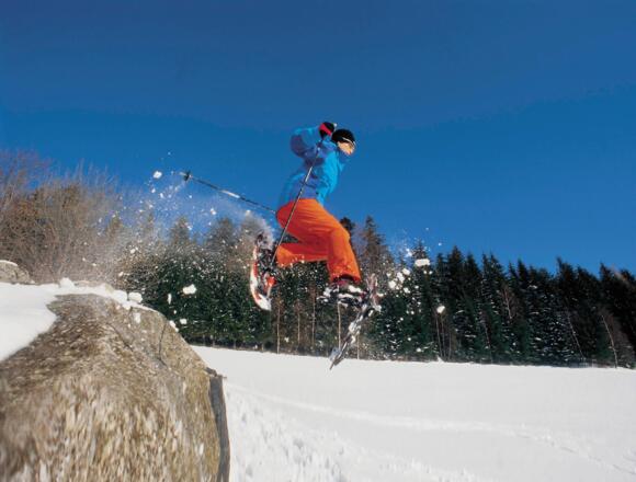 Schneeschuhwandern im Mühlviertel
