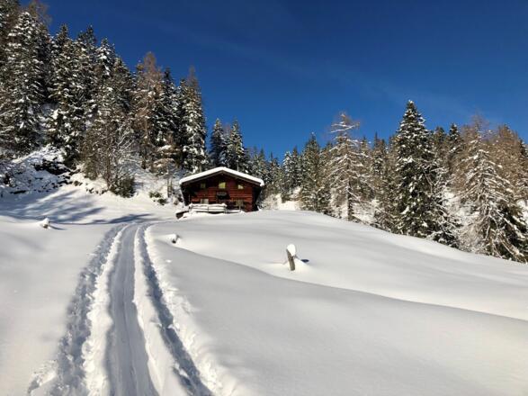 Aufstieg über Almen und Wälder