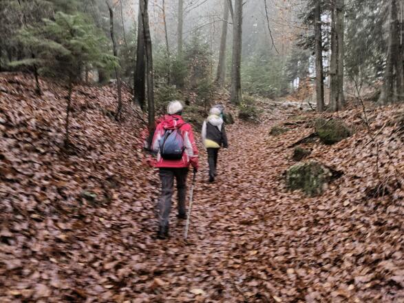 Hohlweg nach Obernebling