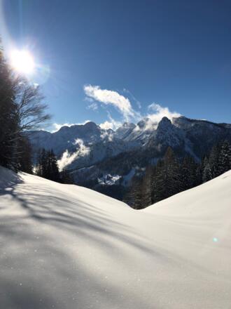 Ausblick auf die Loferer Steinberge