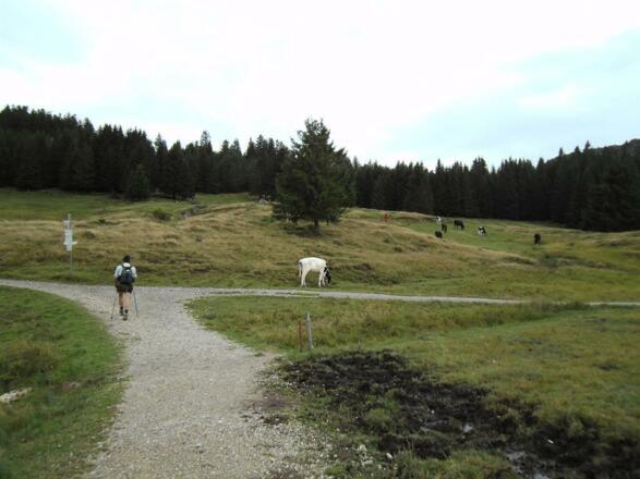 Moorlandschaft am Imberg