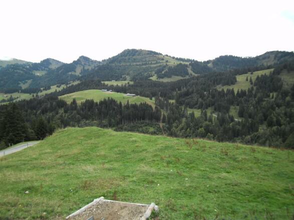 Hochbühl zum Hochgrat