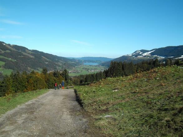 Aussicht vom Hündle zum großen Alpsee