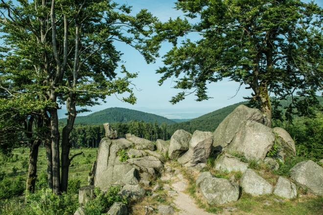 Glöckner Steinmassiv am Rennsteig