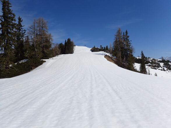 Flacher Anstieg zum Hinterkogel