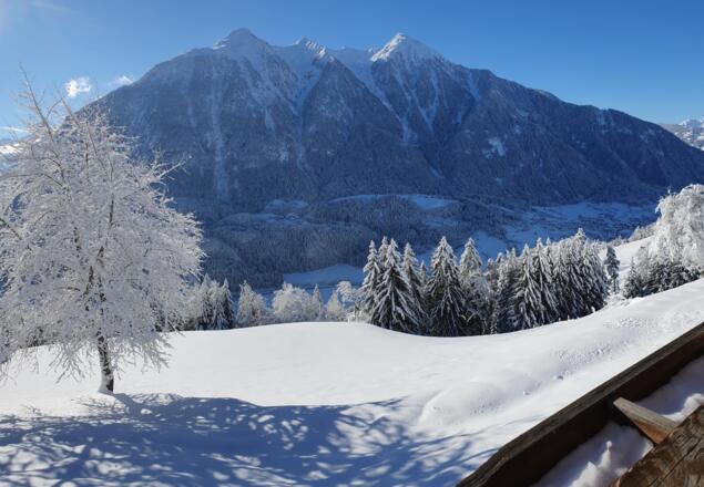 Bergbauernhof Burkert