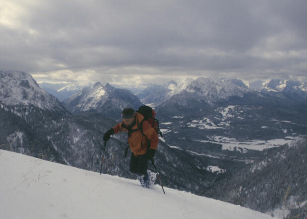 Oberhalb der Waldgrenze