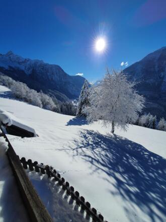 Bergbauernhof Burkert