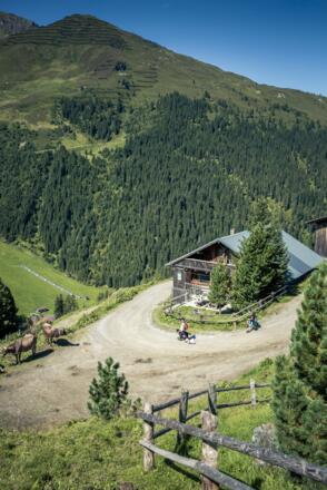 Idyllische Lamark-Almen