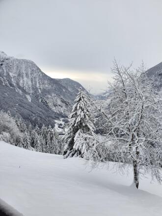 Bergbauernhof Burkert