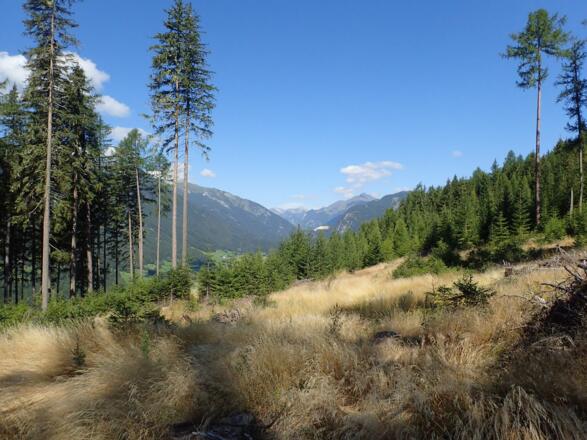 Blick in Richtung Radstädter Tauernpass