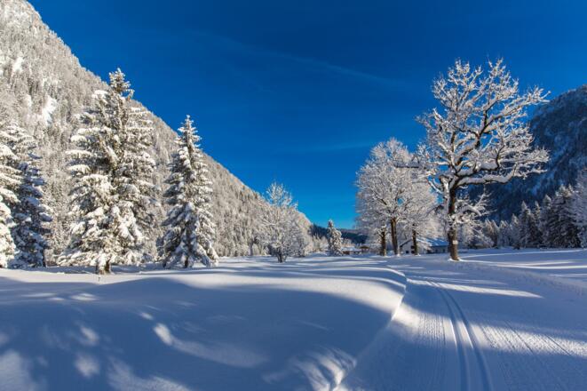Alte Bahntrasse an den Laubauer Almen